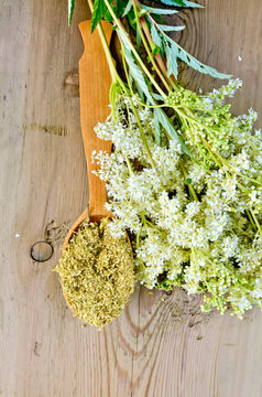 Herbal tea from meadowsweet in spoon on board