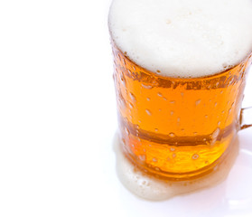 Isolated beer in glass mug