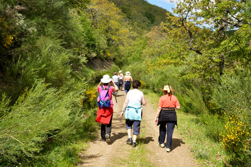Obraz premium familia de excursion caminando por un camino en el monte