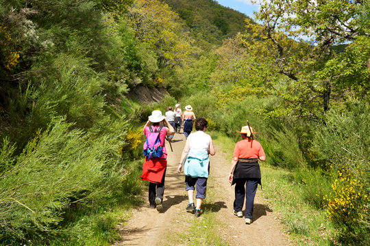 familia de excursion caminando por un camino en el monte