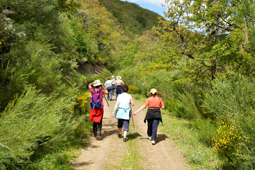 Obraz premium grupo de mujeres caminando por un camino en el monte
