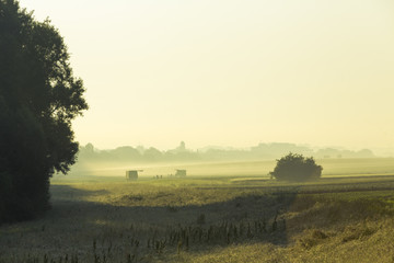 Landwirtschaft