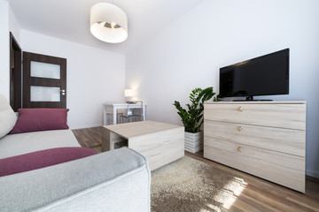 Small, modern interior design in scandinavian style