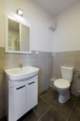 Fototapeta na wymiar Modern tiled bathroom with toilet, sink and mirror