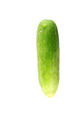 fresh cucumber of isolated.