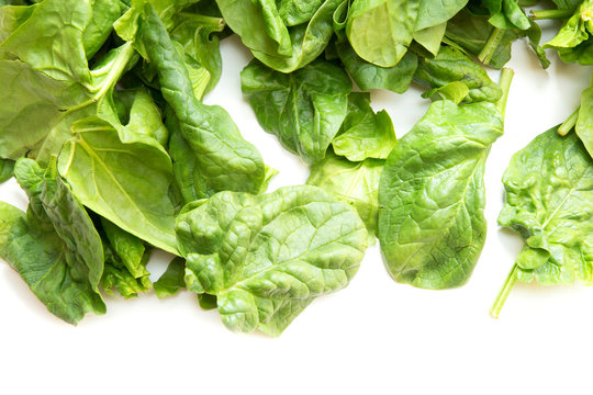 46,485 BEST Spinach Leaves White Background IMAGES, STOCK PHOTOS & VECTORS Adobe