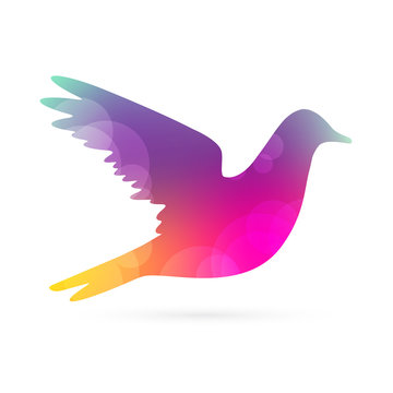 Color bird silhouette, abstract vector illustration
