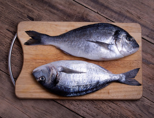 Two fresh gilt-head bream fish on cutting board