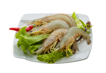 Raw tiger shrimps