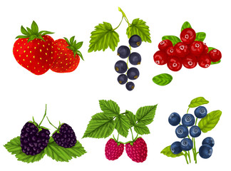 Fresh berries set © Macrovector