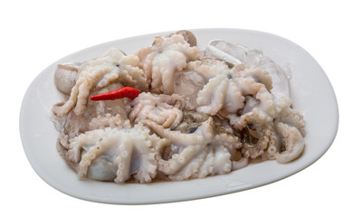 Raw octopus