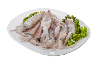 Raw calamari