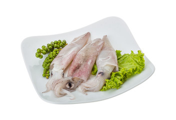 Raw calamari