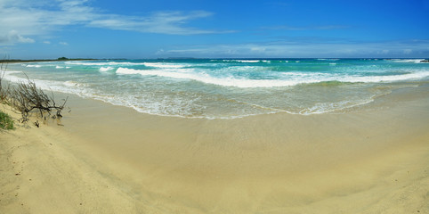 Fototapeta na wymiar Beautiful white sand beach in the Galapagos Islands, Ecuador