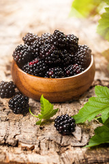 Blackberry