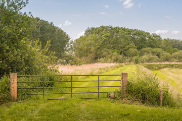 Iron gate in a rural landscape