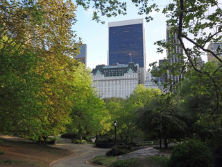 new york city