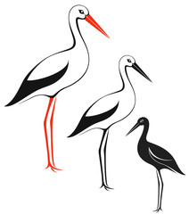 Stork