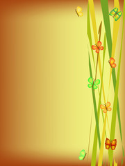 butterfly background