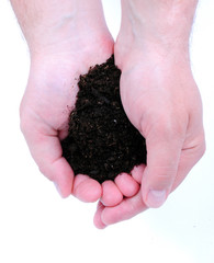 Soil in hand