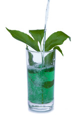 Mohito
