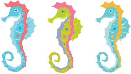 Seahorse bright colors
