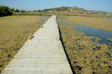Peyriac 13