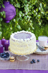 Obraz na płótnie Canvas Blueberry and coconut layer cake