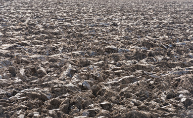 Recently plowed farmland