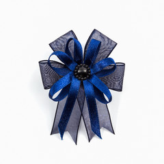 Blue ribbons winner bows.