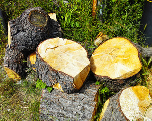 pile of log