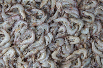 shrimp at a market