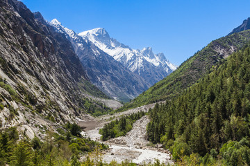 The Ganges river flowing down the Gangotri valley