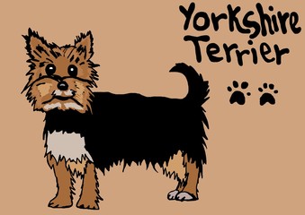 Yorkshire Terrier