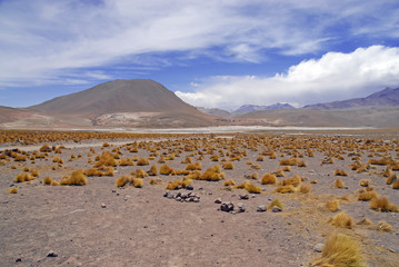 Barren Volcanic Landscape of Atacama Desert, Chile