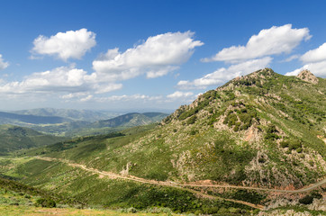 Sardegna, oasi naturalistica di Monte Genis, Villasalto