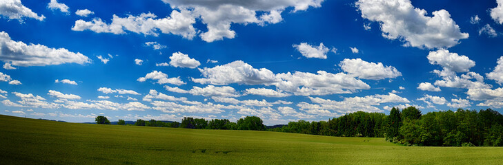 Landscape with wheat field