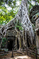 Wat Ta Prohm