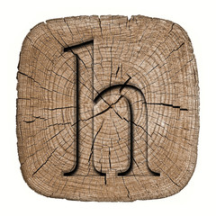 Wooden alphabet block, letter h