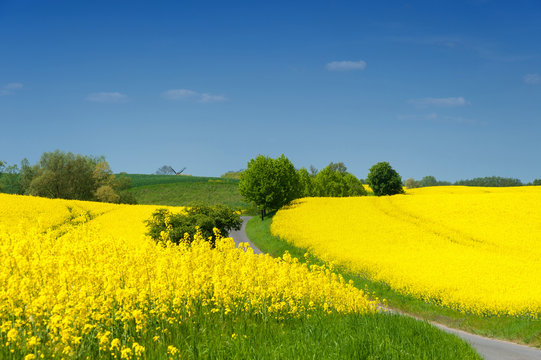 Landschaft in Vorpommern