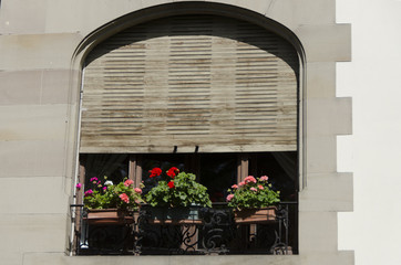 fenêtre cintrée avec un store