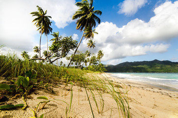 Caribbean: Lonely beach :)