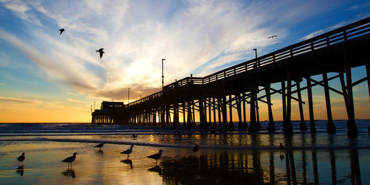 Fototapeta Newport Beach California Pier at Sunset in the Golden Silhouette