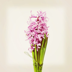 Bouquet from flowers with retro filter effect.