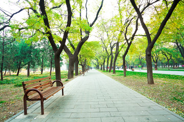 The Park Boulevard chair