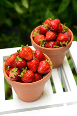 Ripe sweet strawberries in pots on table in garden
