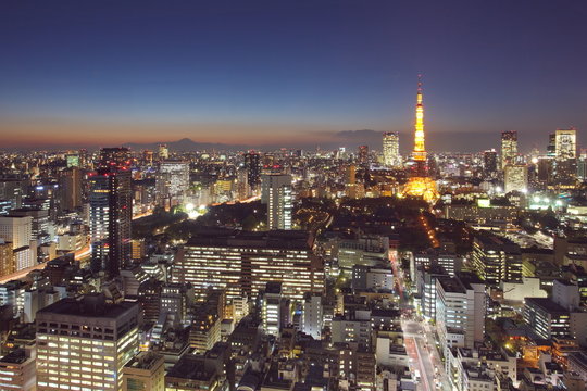 Tokyo cityscape with Tokyo tower and mountain fuji