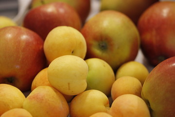 fruit