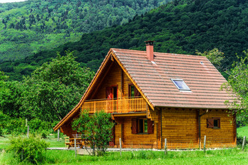 Beautiful vivid green fields in Alsace