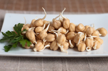 germogli di ceci